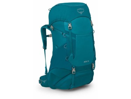 osprey ace 38 blue spikemoss deep peyto