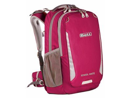 1164569 boll school mate 20 mouse boysenberry