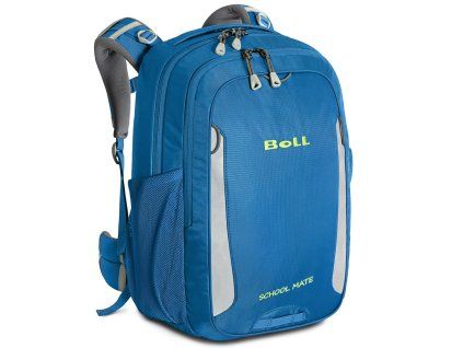1169075 7 boll school mate 20 mouse dutch blue