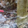 vyrp12 2939Nordic Pocket Saw BUSHCRAFTshop CZ 04