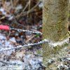 vyrp12 2939Nordic Pocket Saw BUSHCRAFTshop CZ 04