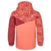 768354 1 kilpi saara jg tmave cervena