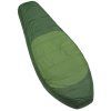 251705 11 boll stellar left eucalyptus forestgreen