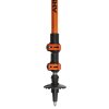 887520 4 husky trekove hole stork oranzova