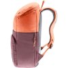 deuter overday4