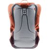 deuter overday