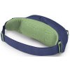 10048626OSP DAYLITE WAIST PACK, blue spikemossalkln 1