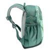 1095960 1 deuter pico spearmint seagreen