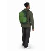 10048631OSP DAYLITE PLUS, green beltgreen canopy 4