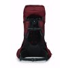 1120254 2 osprey aether 55 acorn red
