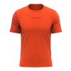 1123407 hannah bine spicy orange