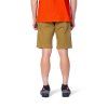 1123545 4 hannah bang shorts dull gold