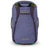 osprey transporter 65 euphoria purple purple ink8
