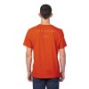1123527 5 hannah booster pureed pumpkin