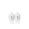 1127187 2 gsi outdoors nesting champagne flute set