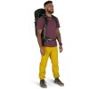 osprey talon 33 2