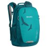 1189913 boll falcon 20 turquoise