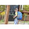 1169084 7 boll school mate 20 crabs dutch blue