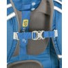 1169075 11 boll school mate 20 mouse dutch blue