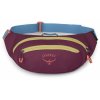 osprey daylite waist pack moody burgundy3