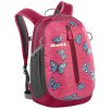 1237230 boll roo 12 butterflies crocus boysenberry