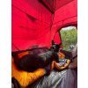 Husky Expediční stan pro 3 osoby Fighter 3 4 orange 07