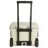 PKN 2212912%20BACK%20handle%20up%20