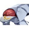 deuter Futura Pro 30 SL 10