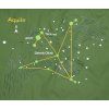 251708 18 boll stellar right eucalyptus forestgreen